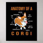 Anatomy of a Corgi Funny Dog Poster (Voorkant)