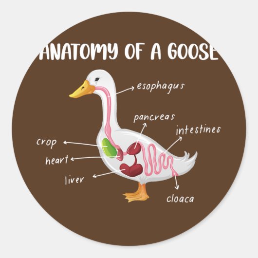 Anatomy Of A Goose Anatomical Doctor Veterinarian Ronde Sticker (Voorkant)