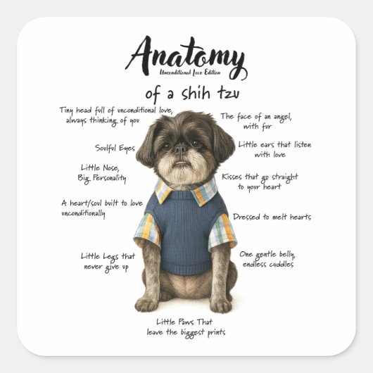 Anatomy of a Shihtzu Unconditional Love Edition Vierkante Sticker (Voorkant)