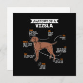 Anatomy Of A Vizsla Dog Kaart (Voorkant / Achterkant)