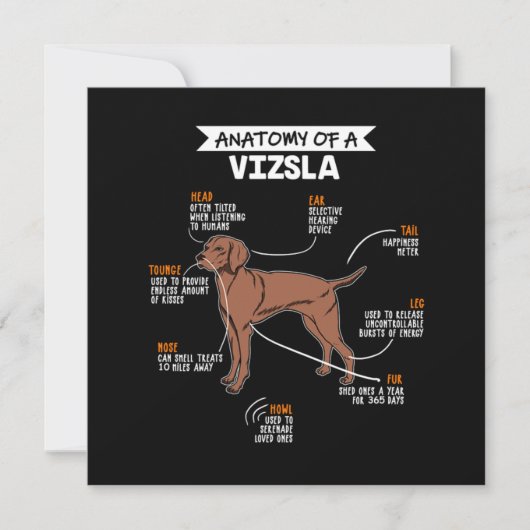 Anatomy Of A Vizsla Dog Kaart (Voorkant)
