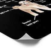 Anatomy of An Aussiedoodle Dog Poster (Hoek)