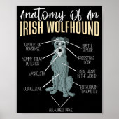 Anatomy Of An Irish Wolfhound  Poster (Voorkant)