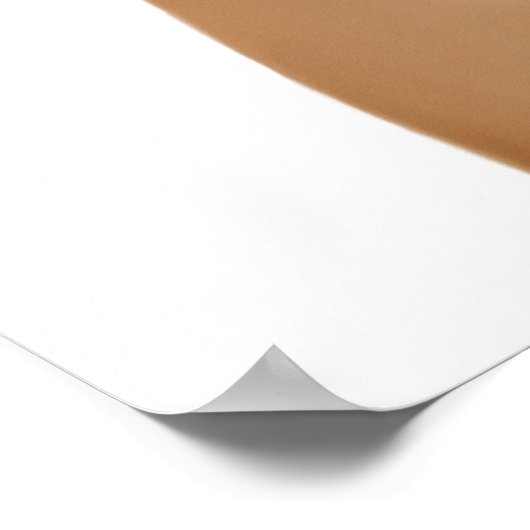 Anatomy Of Female Urinary System Poster (Hoek)