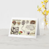 Anatomy of the Human Brain Kaart (Gele Bloem)