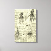 Anatomy of the Human Hand by Leonardo da Vinci Canvas Afdruk (Voorkant)