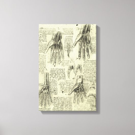 Anatomy of the Human Hand by Leonardo da Vinci Canvas Afdruk (Voorkant)