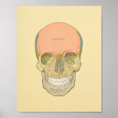 Anatomy Print van Human Skull Grey (Voorkant)