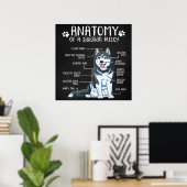 Anatomy Siberian Husky Poster (Thuiskantoor)