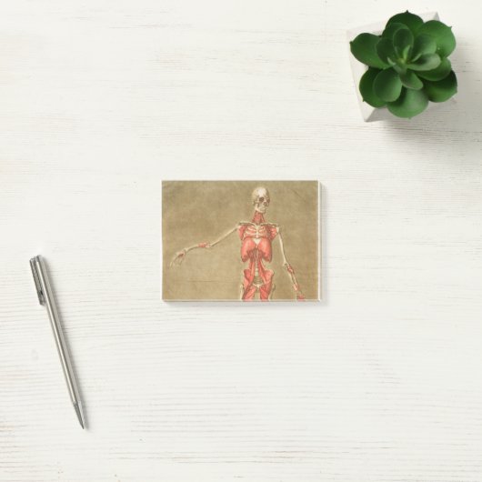 ANATOMY SKELETON BOTTEN SKELETON SPIEREN HUMAN ANA POST-IT® NOTES (Kantoor)