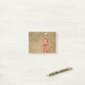 ANATOMY SKELETON BOTTEN SKELETON SPIEREN HUMAN ANA POST-IT® NOTES (Op bureau)