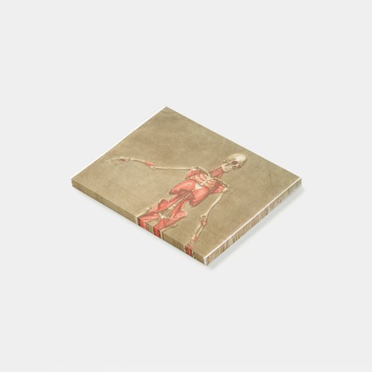 ANATOMY SKELETON BOTTEN SKELETON SPIEREN HUMAN ANA POST-IT® NOTES (Schuin)