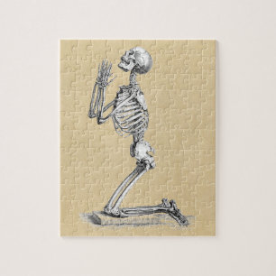 Anatomy Skeleton Illustratie Legpuzzel