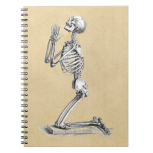 Anatomy Skeleton Illustratie Notitieboek