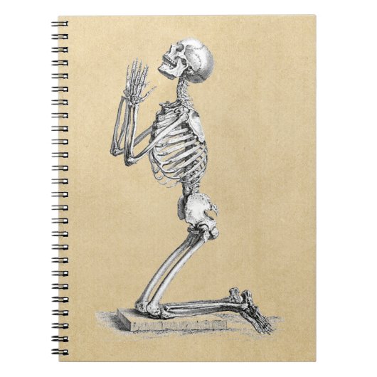 Anatomy Skeleton Illustratie Notitieboek (Voorkant)