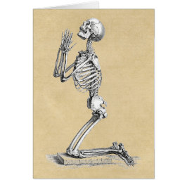 Anatomy Skeleton Illustration Wenskaarten