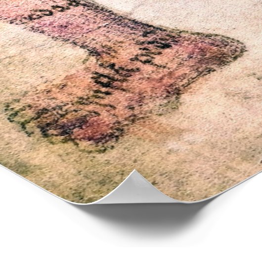 ANATOOMIE VAN ZWANGERE VROUW c. 14 eeuw Poster (Hoek)