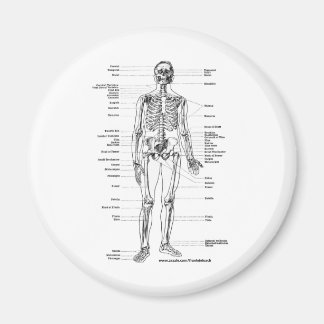 ANATOOMY SKELETON T SHIRTS EN GIFTS MAGNEET
