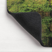 Anavilhanas, Amazonas, Brazilië. Rainwoud Muismat (Hoek)