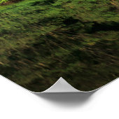 Anavilhanas, Amazonas, Brazilië. Rainwoud Poster (Hoek)