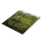 Anavilhanas, Amazonas, Brazilië. Rainwoud Tegeltje (Zijkant)