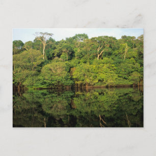 Anavilhanas, Amazonas, Brazilië. regenwoud Briefkaart