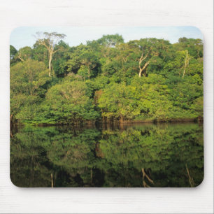 Anavilhanas, Amazonas, Brazilië. Regenwoud rivier Muismat