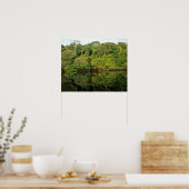Anavilhanas, Amazonas, Brazilië. Regenwoud rivier Poster (Keuken)