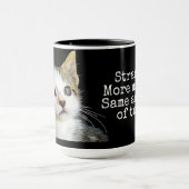 Ancat Anarchie Mok (Midden)