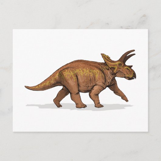 Anchiceratops Dinosaur Briefkaart (Voorkant)