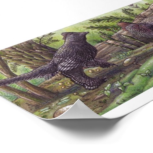 Anchiornis: Dimorisme Afdrukken Poster (Hoek)