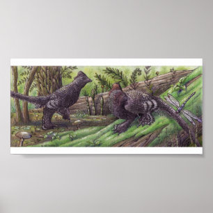Anchiornis: Dimorisme Afdrukken Poster