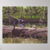 Anchiornis Print (Voorkant)