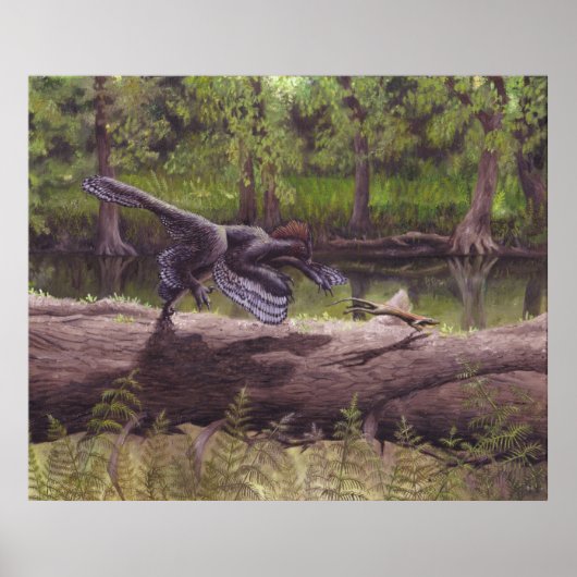 Anchiornis Print (Voorkant)