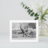Anchisaurus art briefkaart (Staand voorkant)
