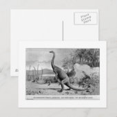 Anchisaurus art briefkaart (Voorkant / Achterkant)