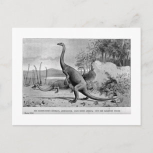 Anchisaurus art briefkaart