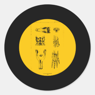 Anchisaurus en Ammosaurus Ronde Sticker