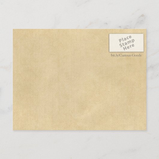 Anchor en Dolphin - Festina Lente Briefkaart (Achterkant)