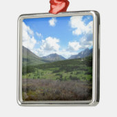 Anchorage Alaska Metalen Ornament (Links)
