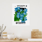 Anchusa Poster (Keuken)