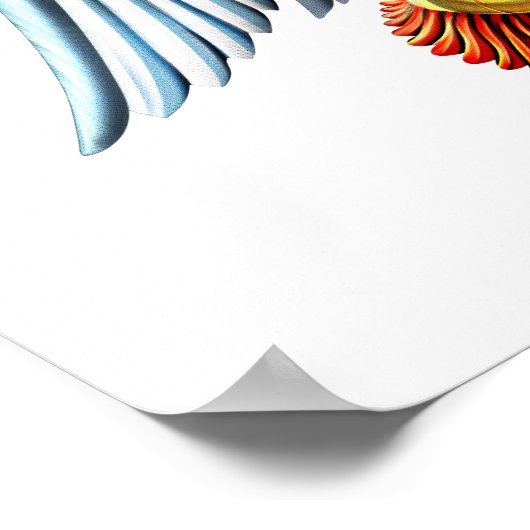 Ancient Anunnaki God Poster (Hoek)