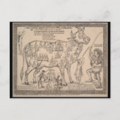 Ancient Art Briefkaart, Hindoe Goddelijke Koe Graf Briefkaart (Voorkant)