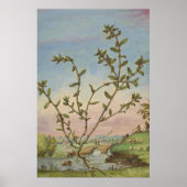 Ancient Botanical Art Mugwort Poster (Voorkant)