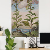 Ancient botanisch art Goldenrod Poster (Thuiskantoor)