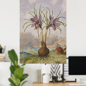 Ancient botanisch art saffron poster (Thuiskantoor)