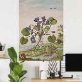 Ancient Botanisch Kunst Viola Poster (Thuiskantoor)