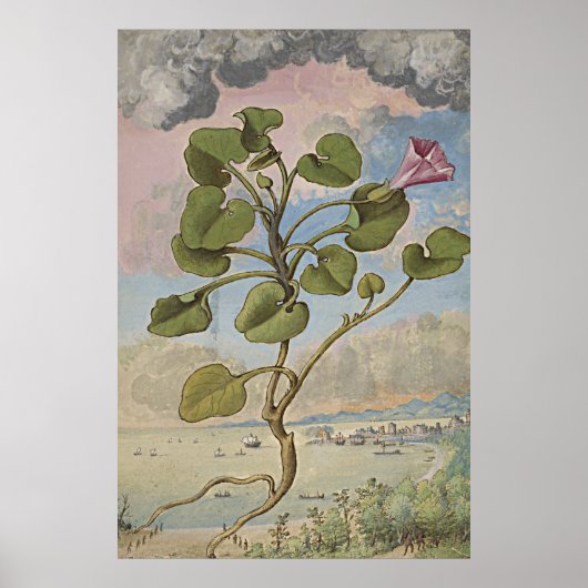 Ancient botanisch kunstgebindweed poster (Voorkant)