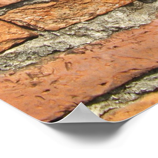Ancient Brick Wall Poster (Hoek)