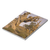 Ancient Bristlecone Forest, White Mountains, CA Notitieblok (Linkerzijde)